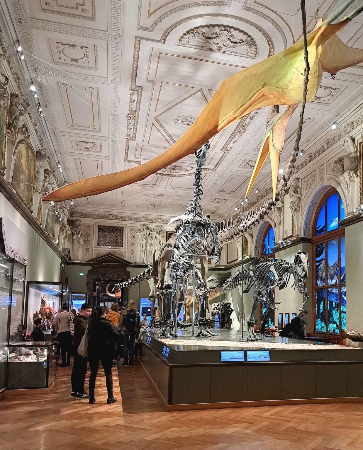 MUZEUL DE ISTORIE NATURALA VIENA