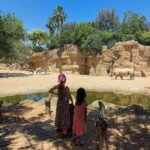 Bioparcul din Valencia Spania