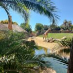 Bioparcul din Valencia Spania