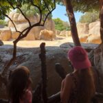 Bioparcul din Valencia Spania