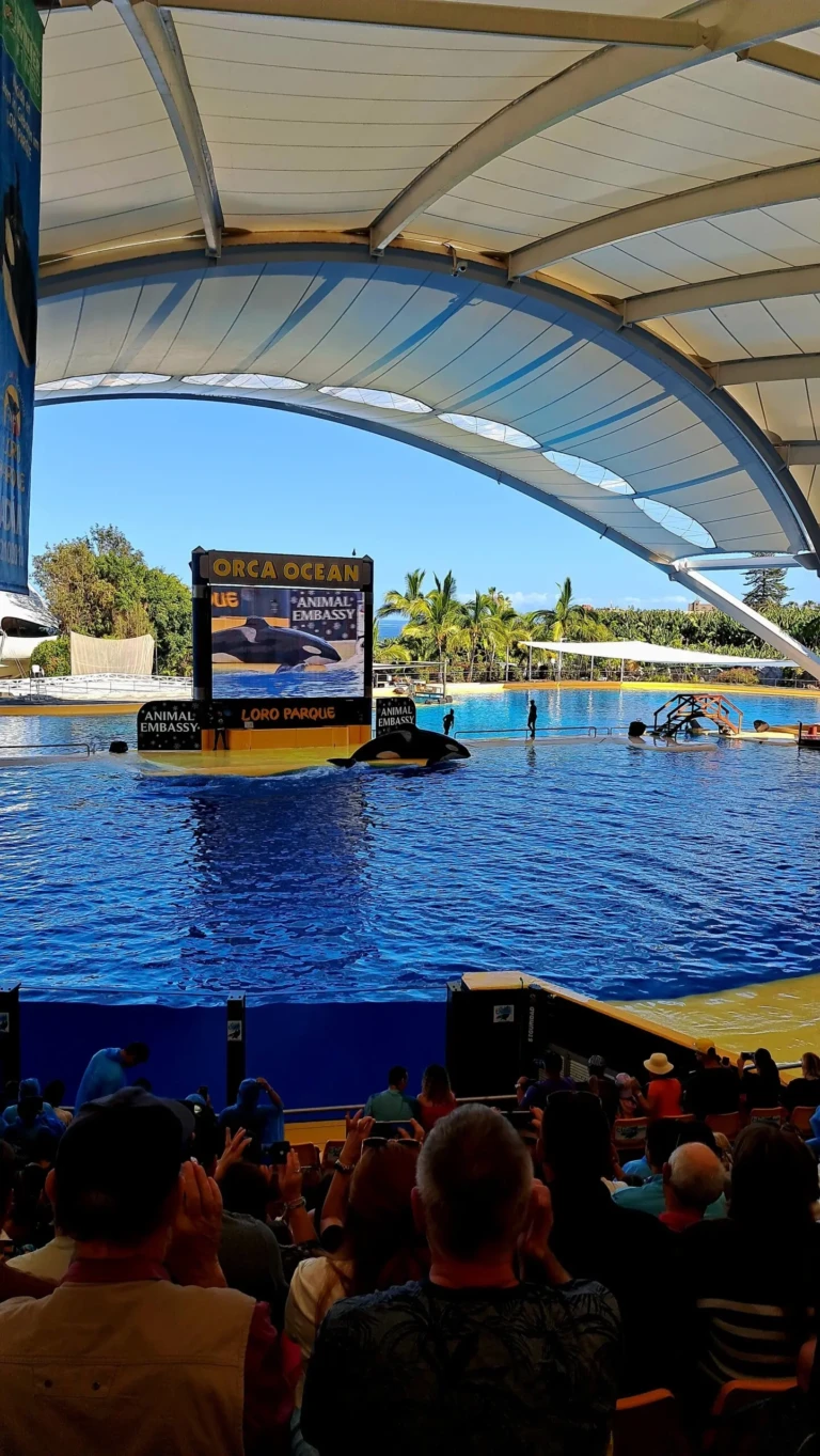 Orca Loro Park
