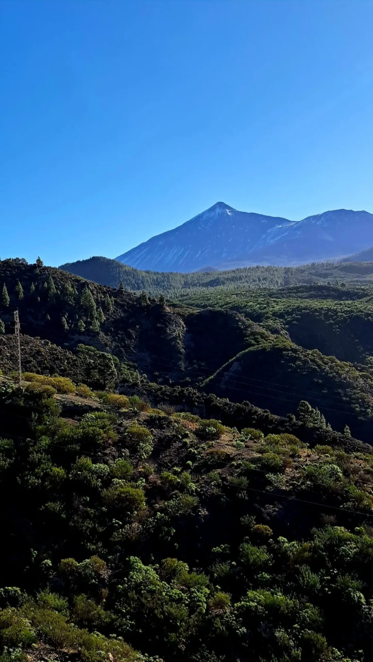 Teide-Tenerife